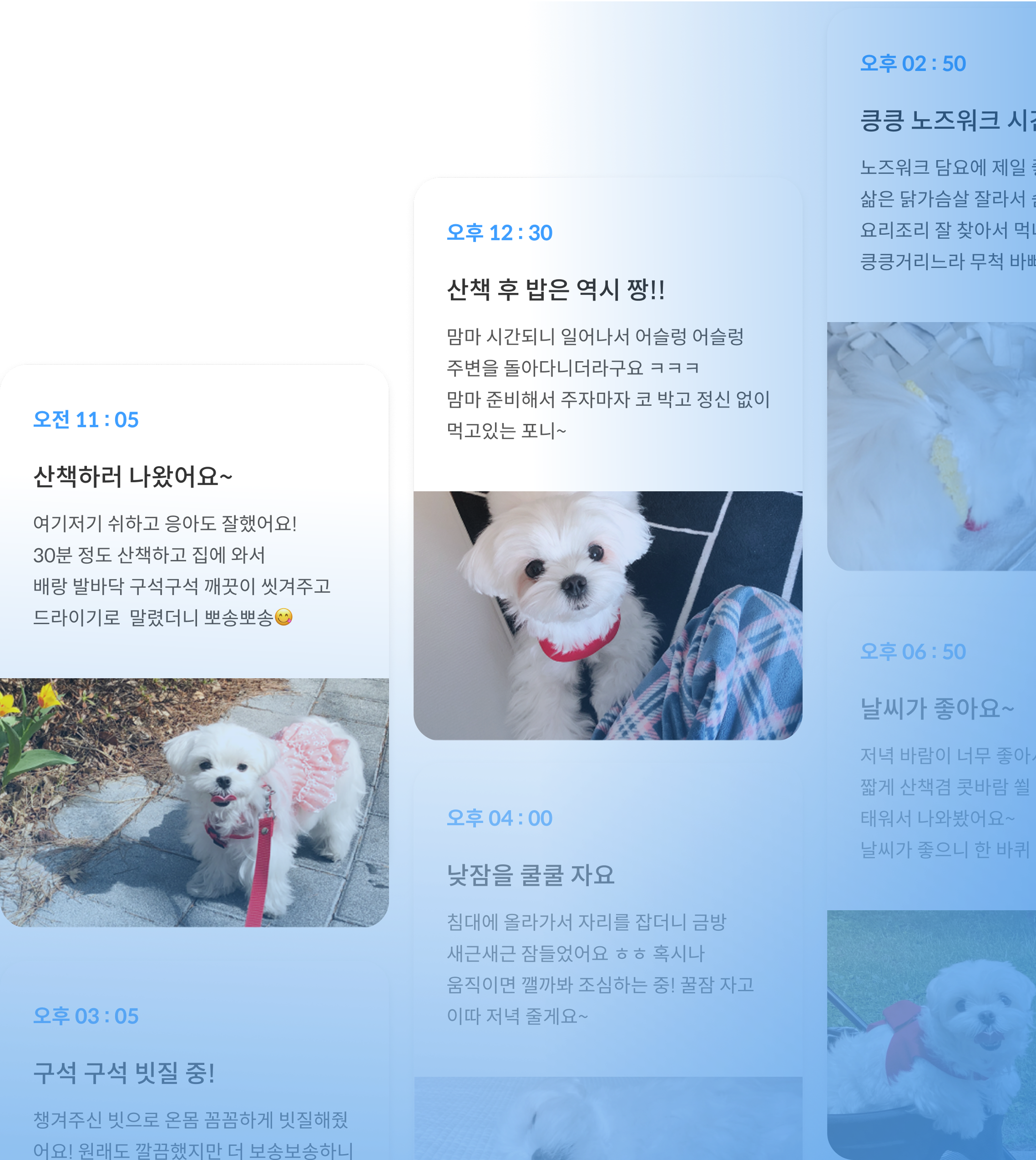 사진·영상으로 생생한 돌봄 일지