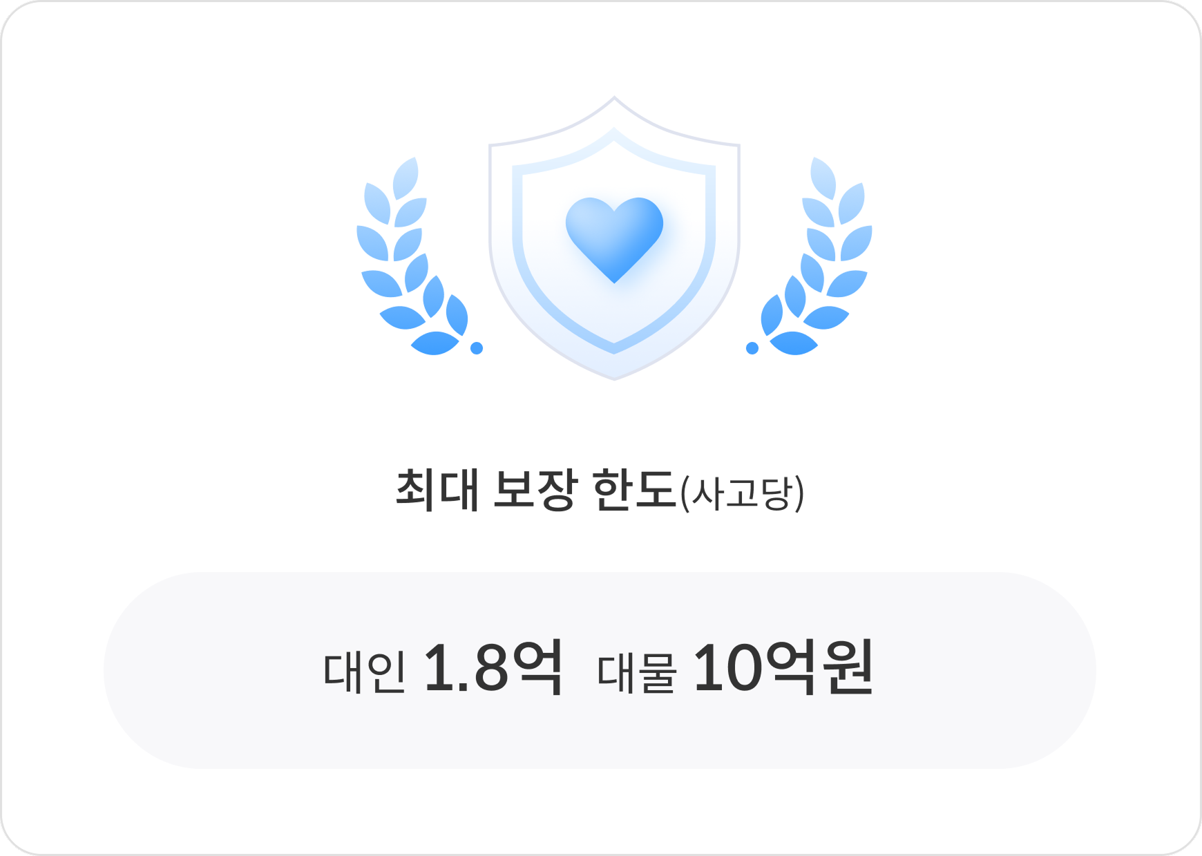 안전 보험 최대 보장 한도