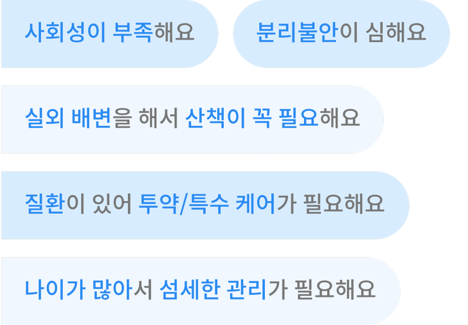 가정집 펫시터 추천 조건